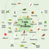MISTI MASTER HERBS HERBAL HAIR OIL - Image 3